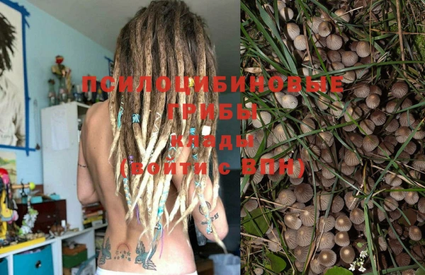 прущий лед Туринск