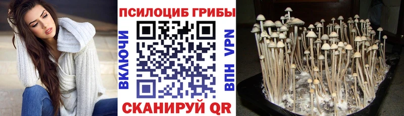 Псилоцибиновые грибы мухоморы  наркошоп  Меленки 